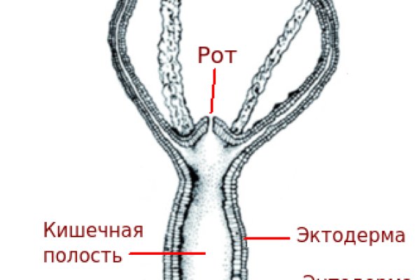 Как войти на кракен