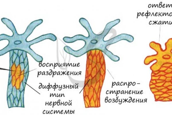 Kraken вход зеркало