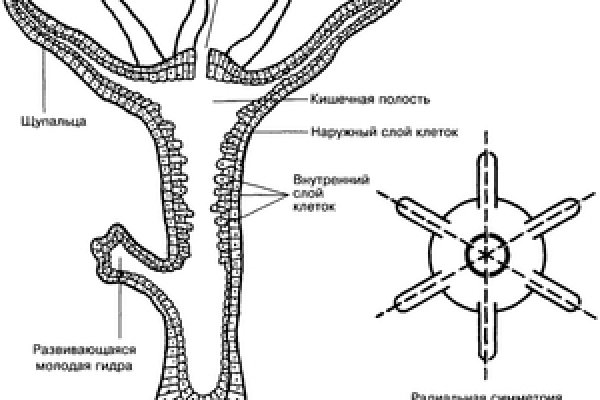 Кракен рабочая ссылка 2024